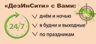 Как правильно укладывать тротуарную плиту: пошаговая инструкция